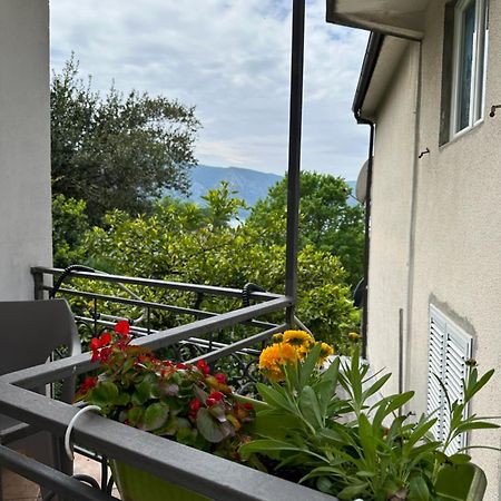 Apartman Nina Рисан Экстерьер фото